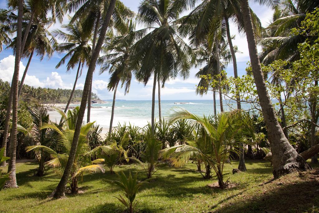 Palm Paradise Cabanas & Villas Beach Resort Tangalle Exteriér fotografie
