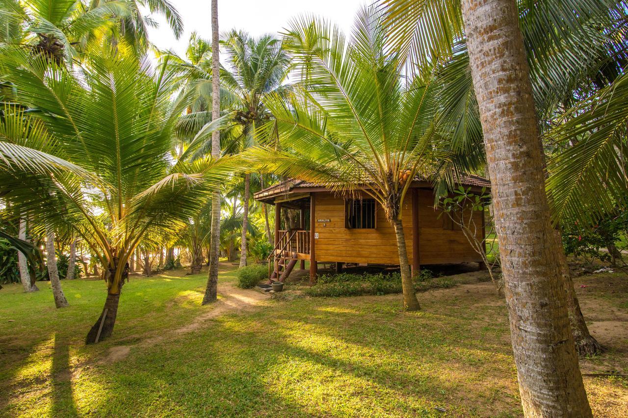 Palm Paradise Cabanas & Villas Beach Resort Tangalle Exteriér fotografie